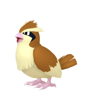 pidgey 0 спіс